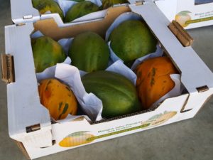 Papaya-Kiste