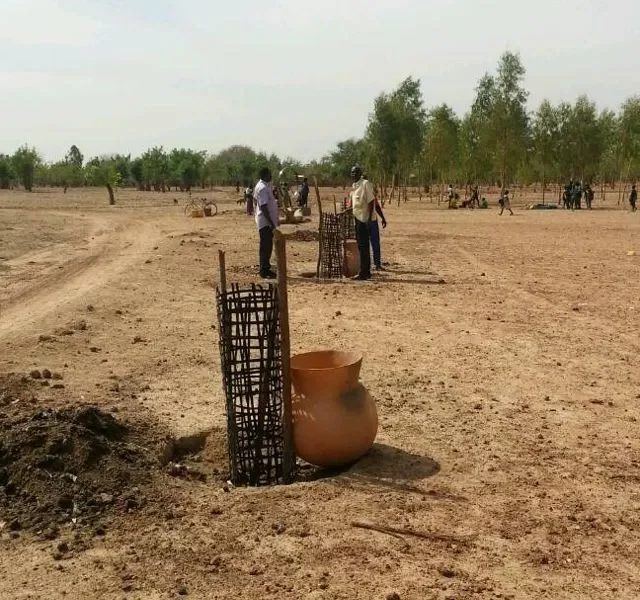 Dapoya-Mangobaumpflanzung-2