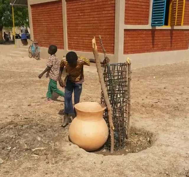 Dapoya-Mangobaumpflanzung