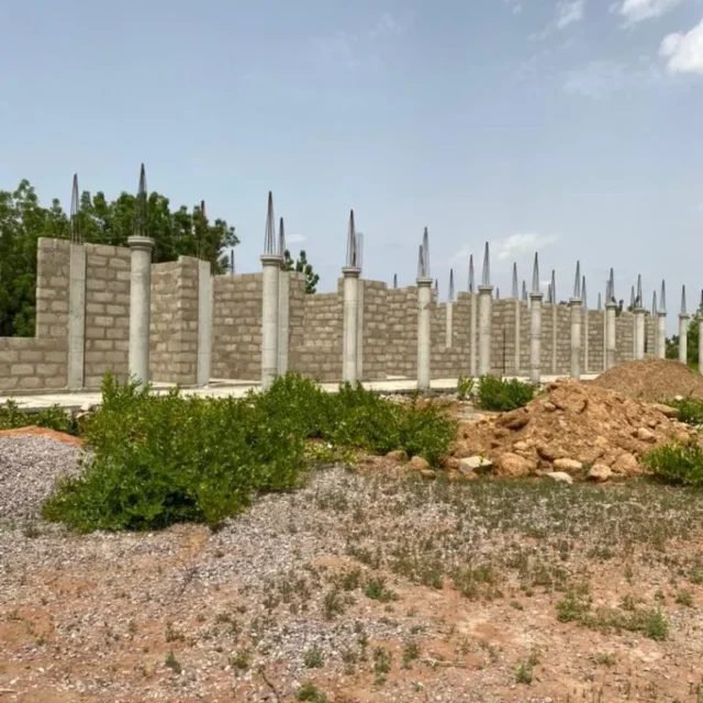 Walewale-IMG-20241117-WA0001-768x1024