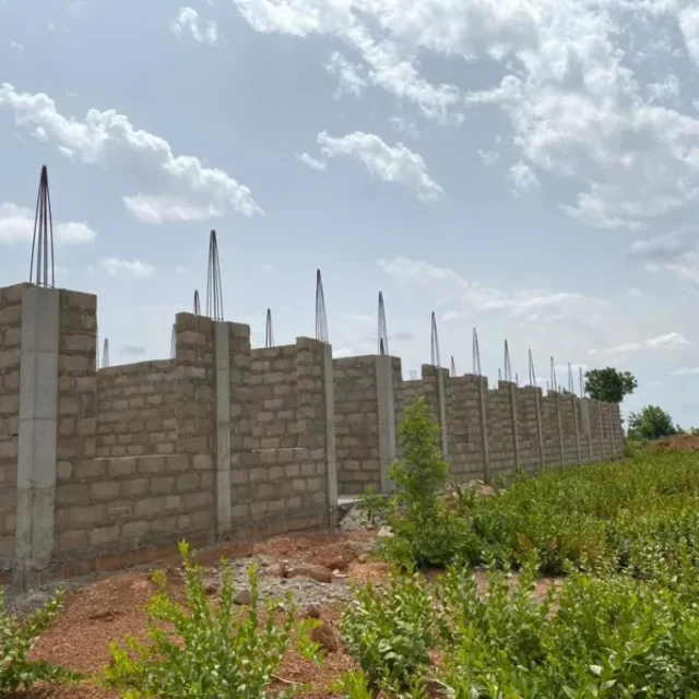 Walewale--IMG-20241117-WA0002-1024x768